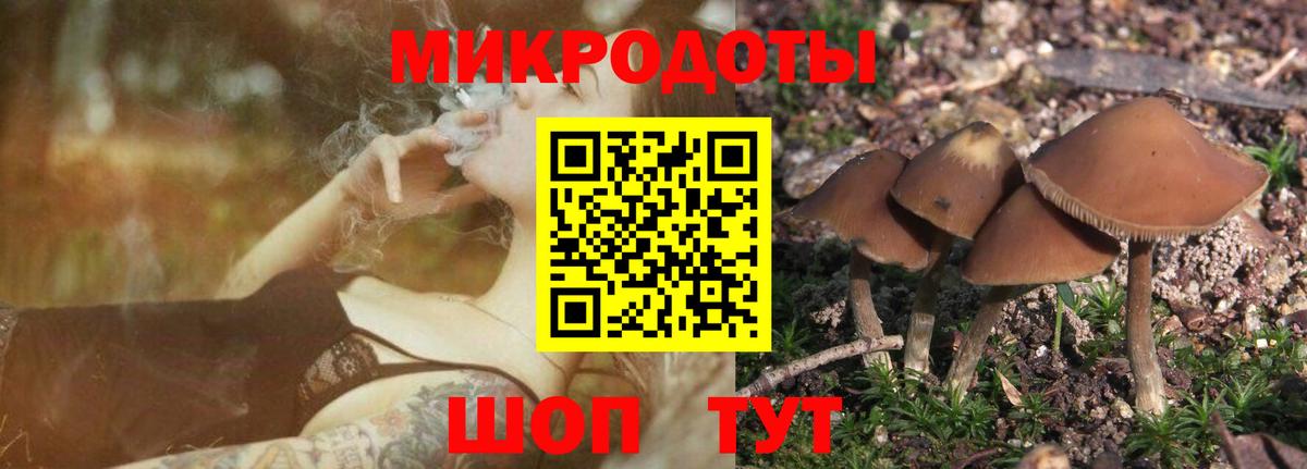 Псилоцибиновые грибы ЛСД Кореновск