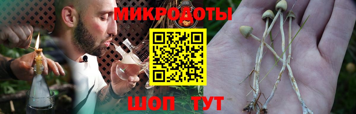 как найти   Псилоцибиновые грибы ЛСД  Вход с VPN  Кореновск 