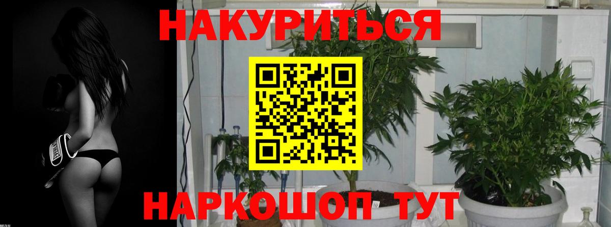 МАРИХУАНА план Кореновск